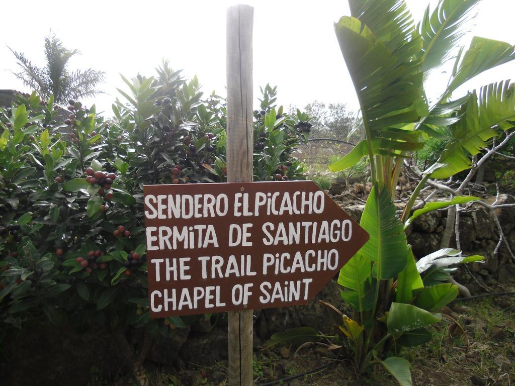 Finca El Picacho Apartments In The Countryside 2 Km From The Beach Tejina Quarto foto