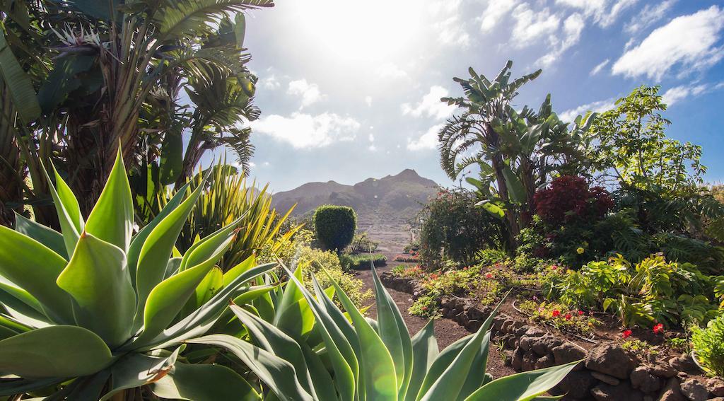 Finca El Picacho Apartments In The Countryside 2 Km From The Beach Tejina Quarto foto
